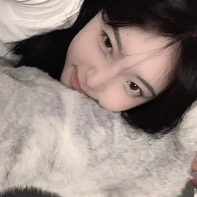 今天也要努力当只猫