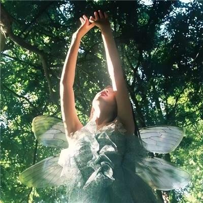 极品基老伴 第二季