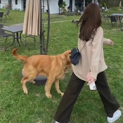 唐娜提拉